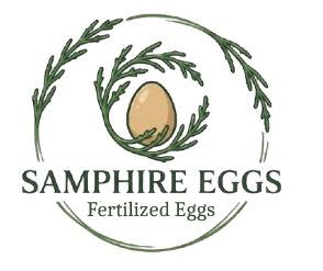 Samphire Eggs logo